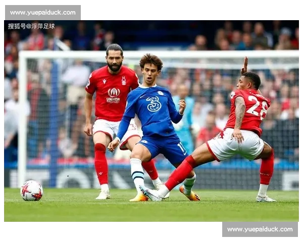 足球论坛聚焦:深度分析当下足球战术与球员表现,未来趋势与热点讨论