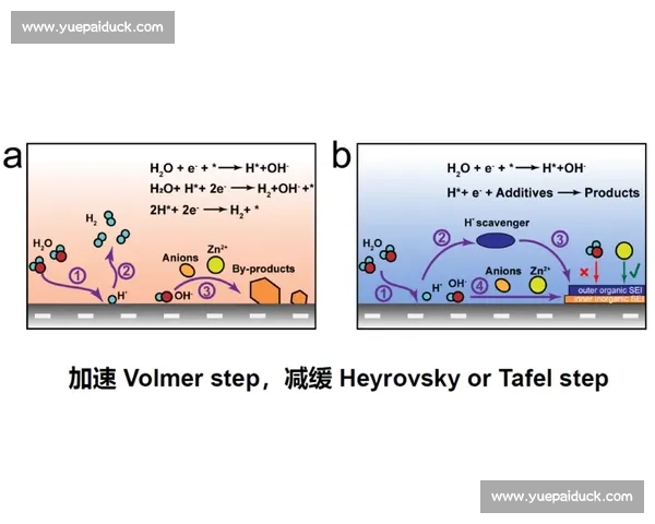 以平衡机制视角探索系统稳定性与动态调控策略研究